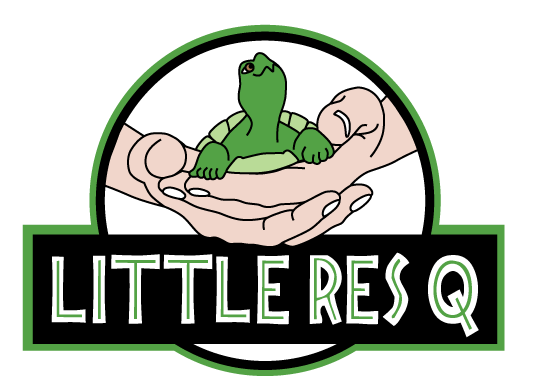 Little RES Q