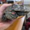 Turtle2
