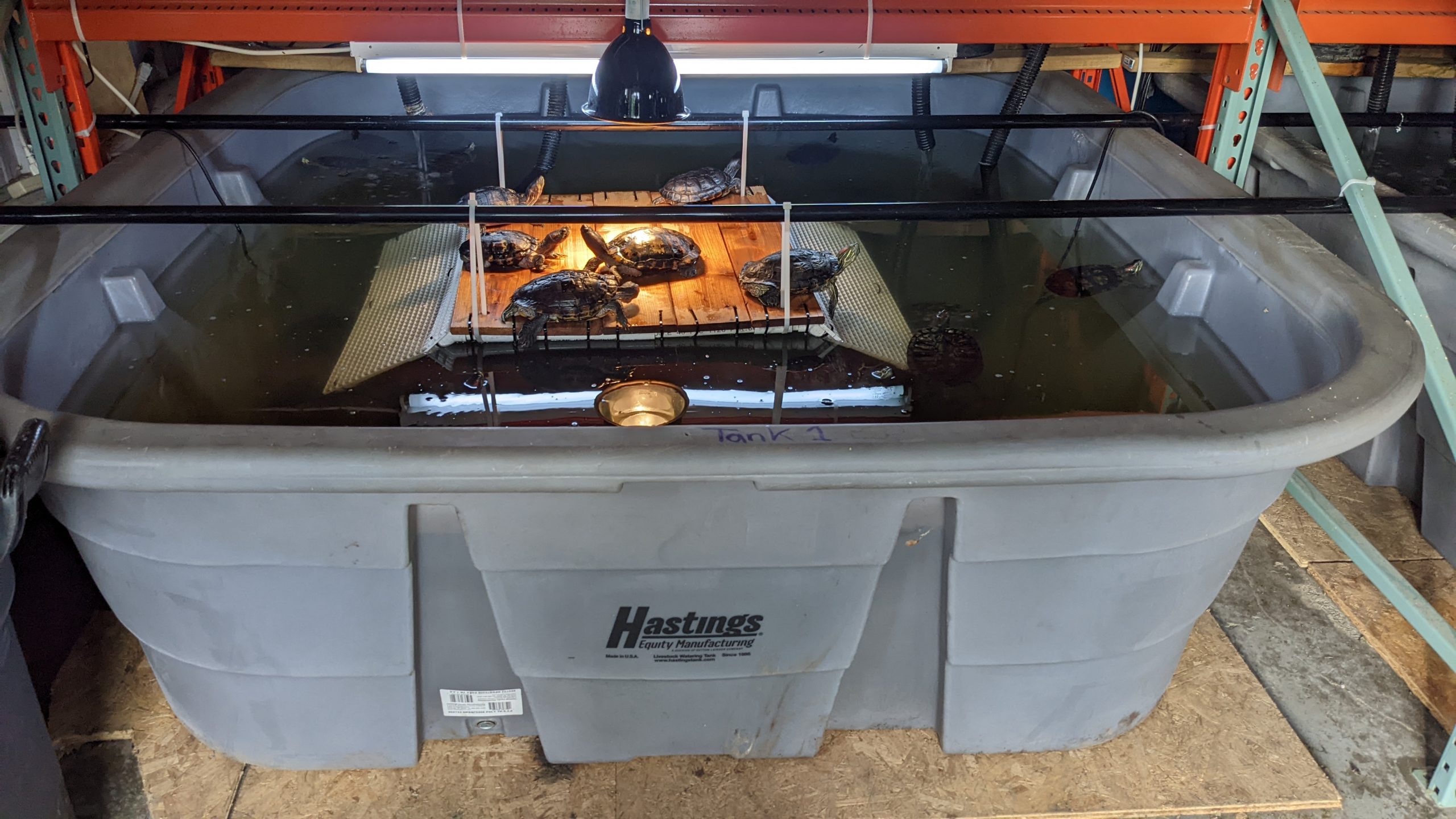 PXL_20220626_224309154.MP